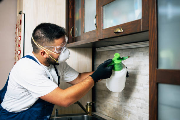 Best Pest Prevention Services  in Auburn, AL