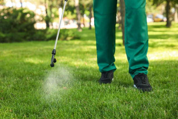Best Ant Control Services  in Auburn, AL