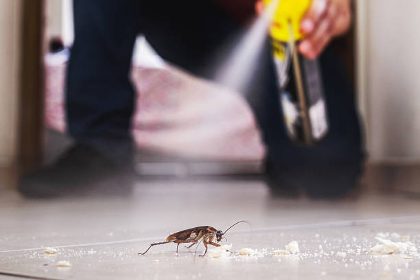 Best Pest Removal Services  in Auburn, AL